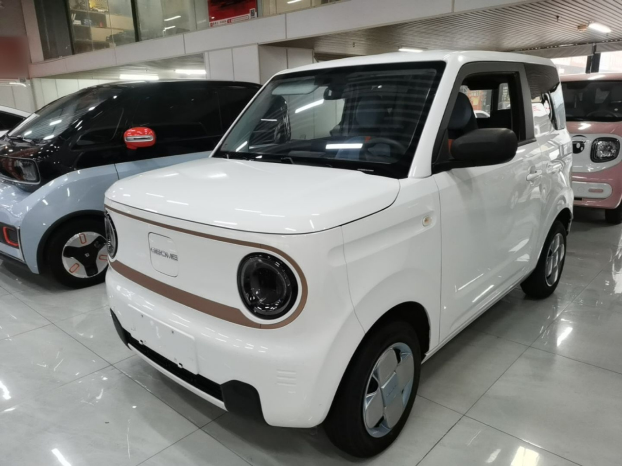 2024 Panda mini 200km Endurance Bear