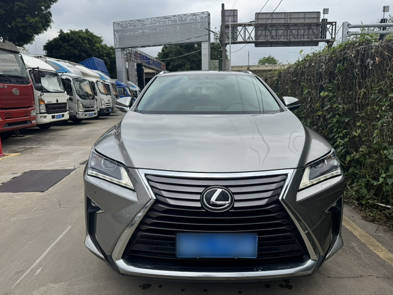 RX 2016 300 RWD Elite China V photo 4