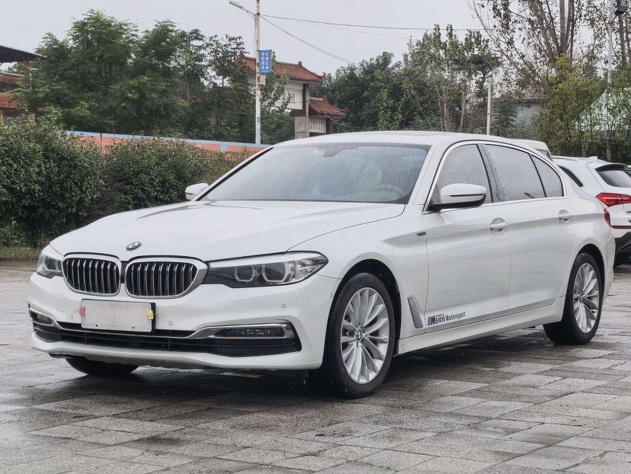 5 Series 2019 525Li Luxury