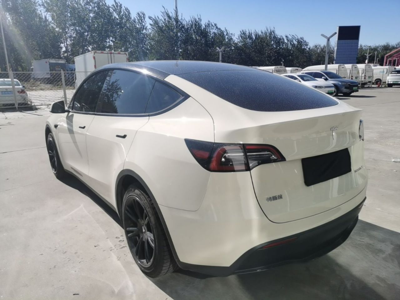 Model Y 2022 RWD photo 4