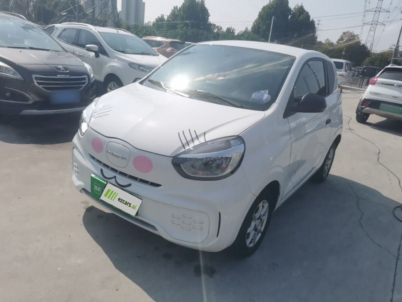 Clever R 2022 311km Yuan