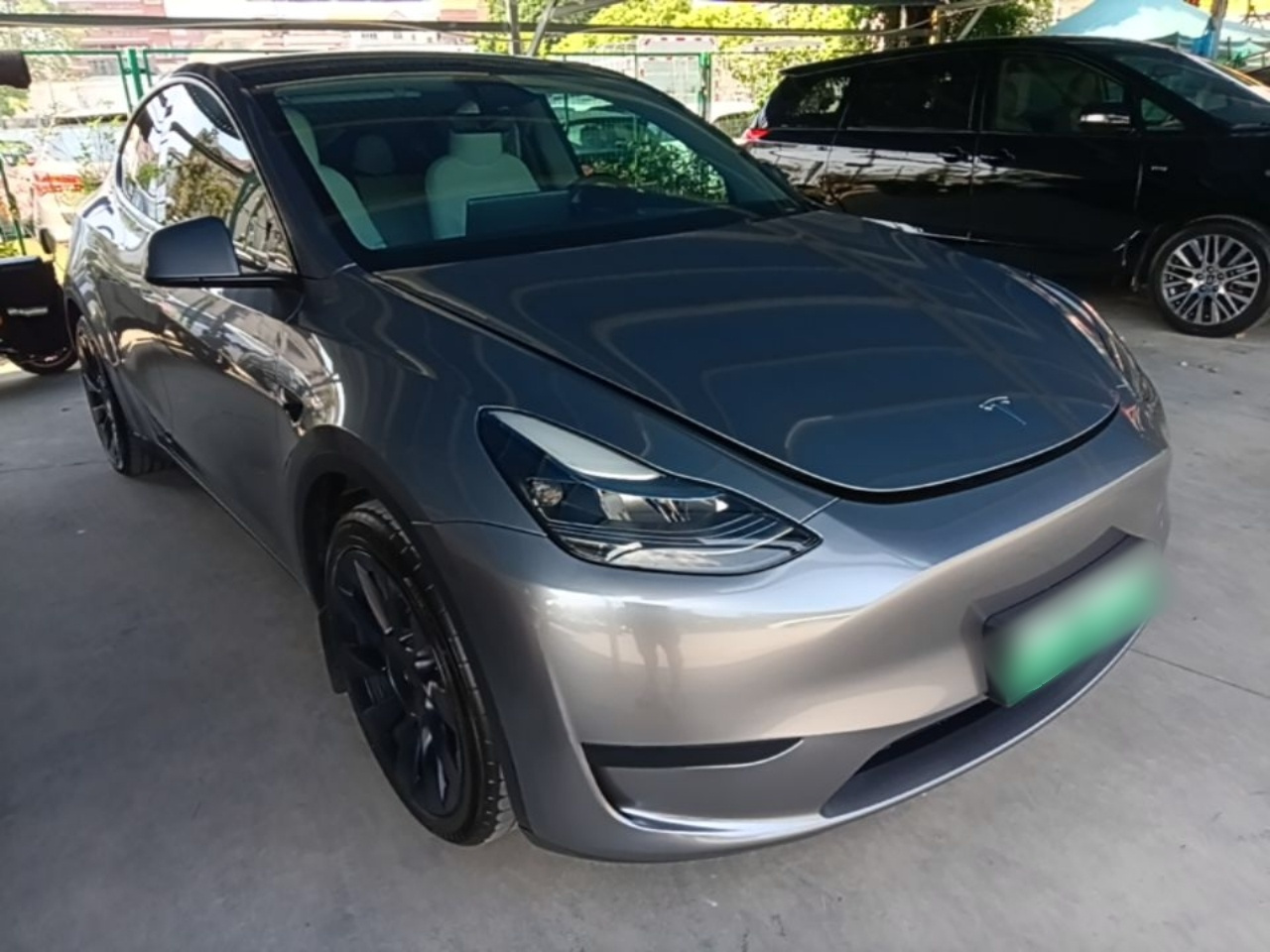 Model Y 2024 RWD photo 3