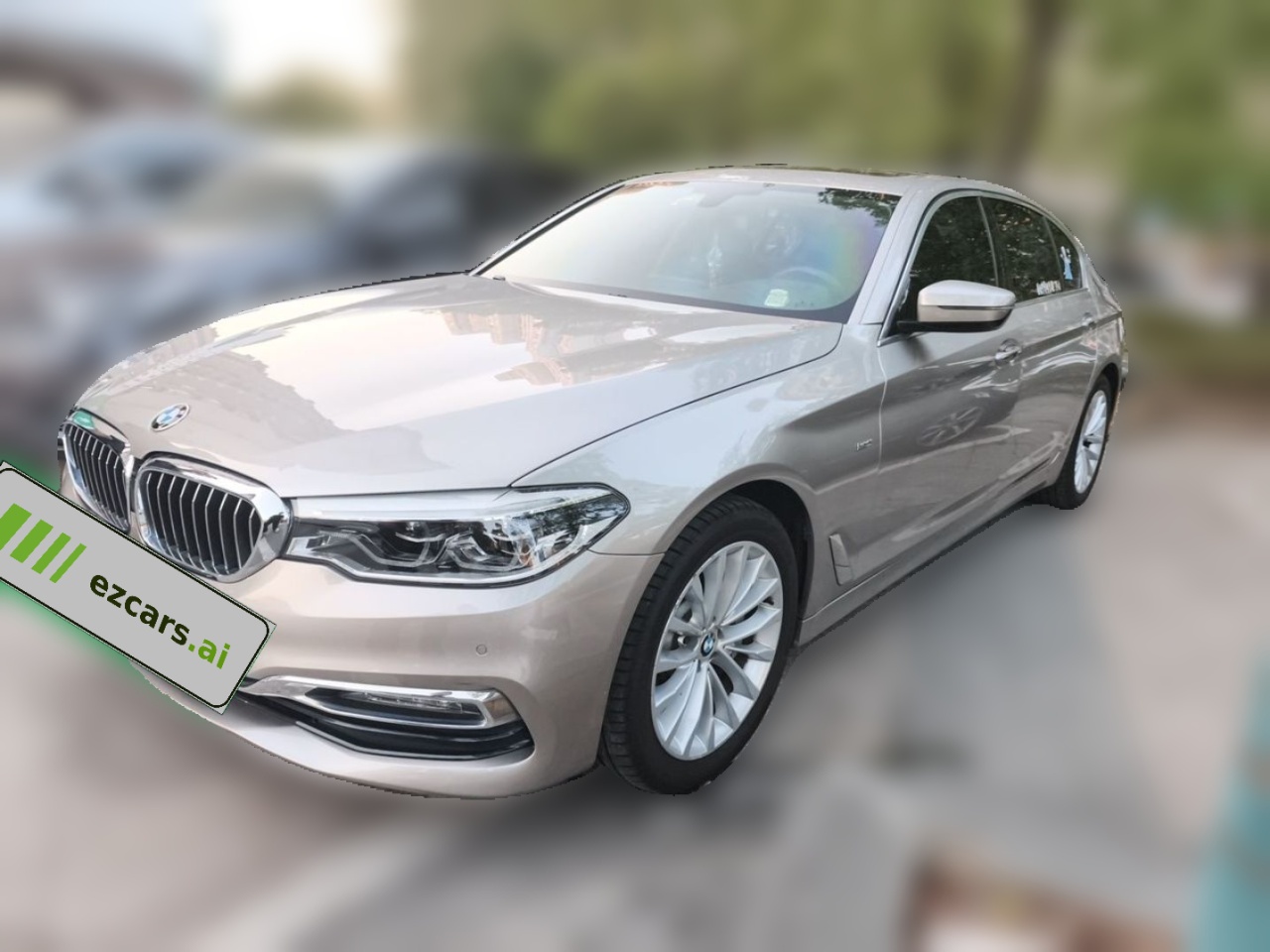 5 Series 2018 Facelift 530Li Leading Luxury