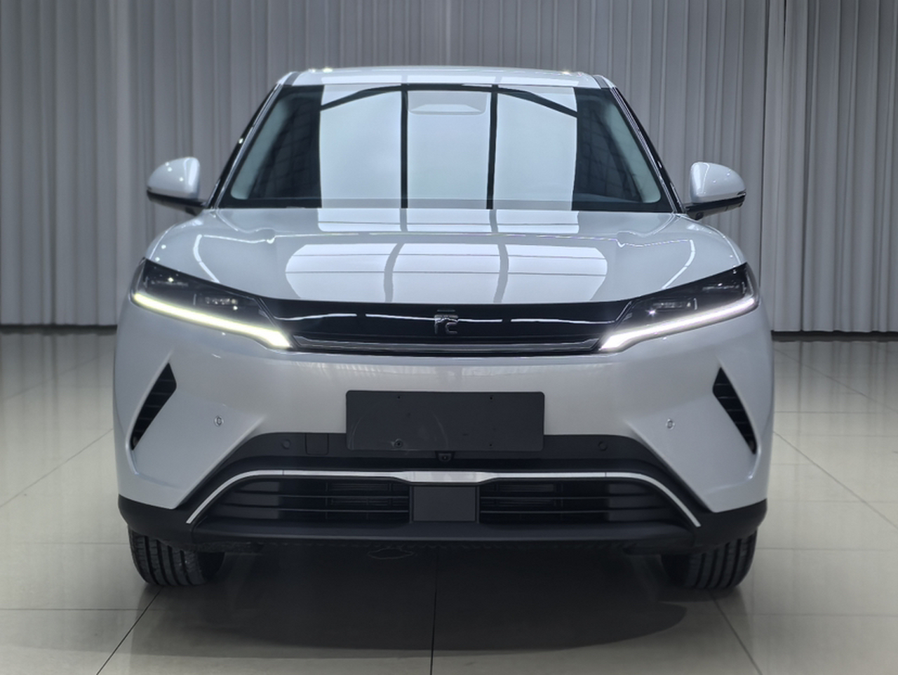 Yuan UP 2025 ADAS 401KM photo 2
