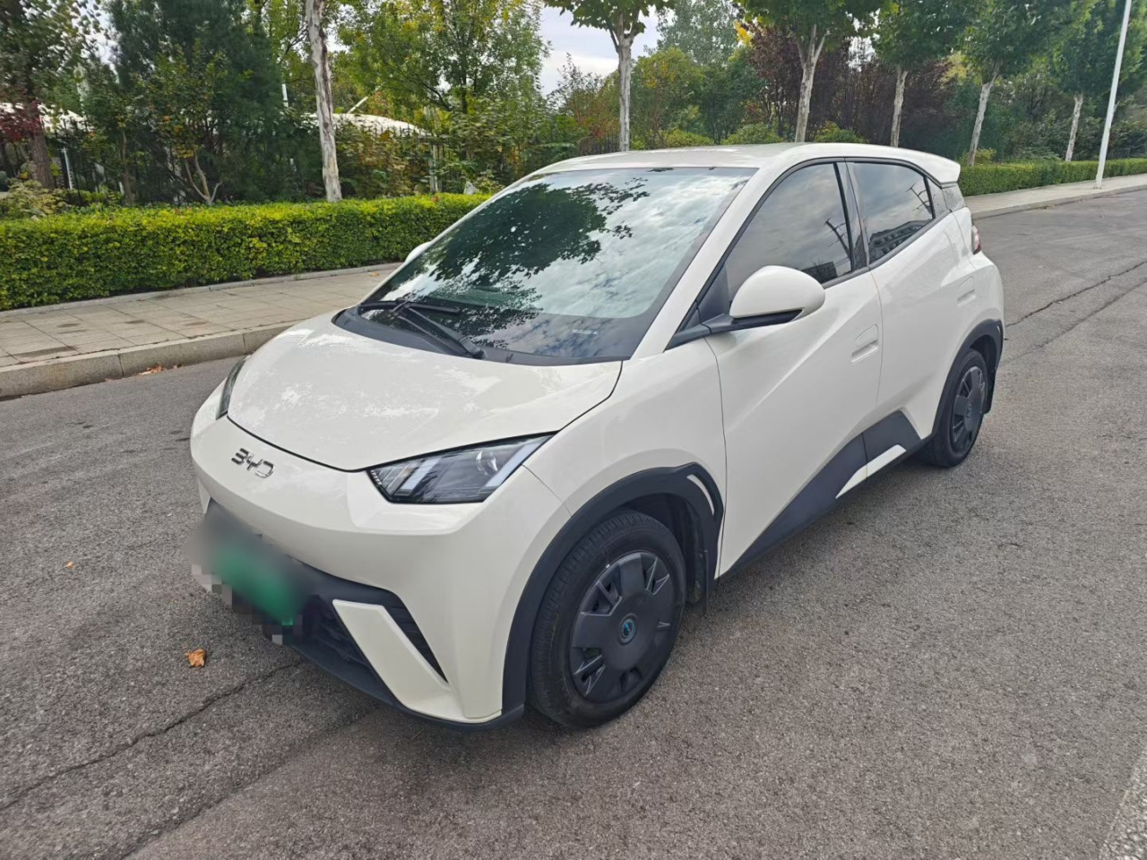 Seagull 2025 305km