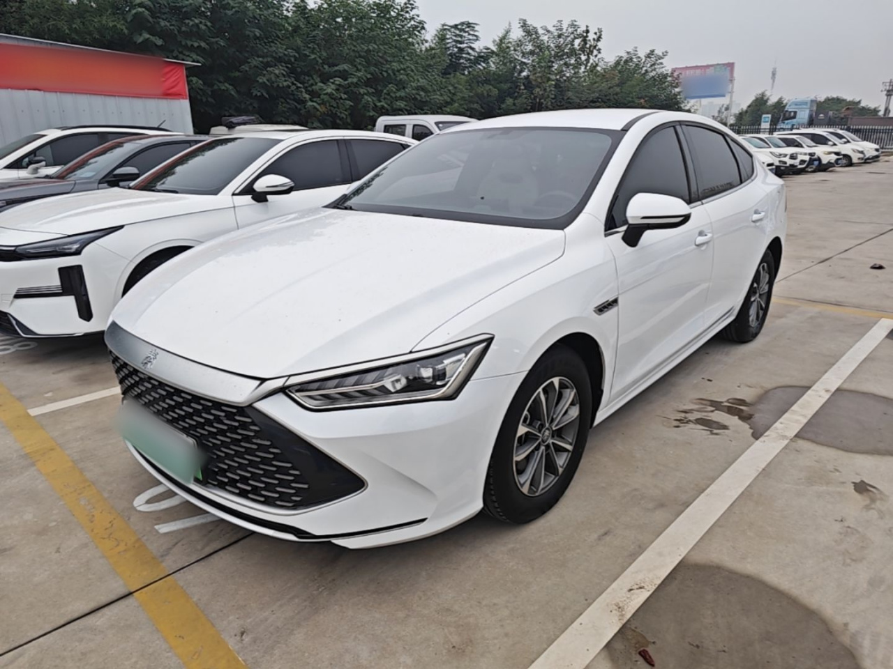 Qin PLUS 2024 Honor DM-i 55KM Leading