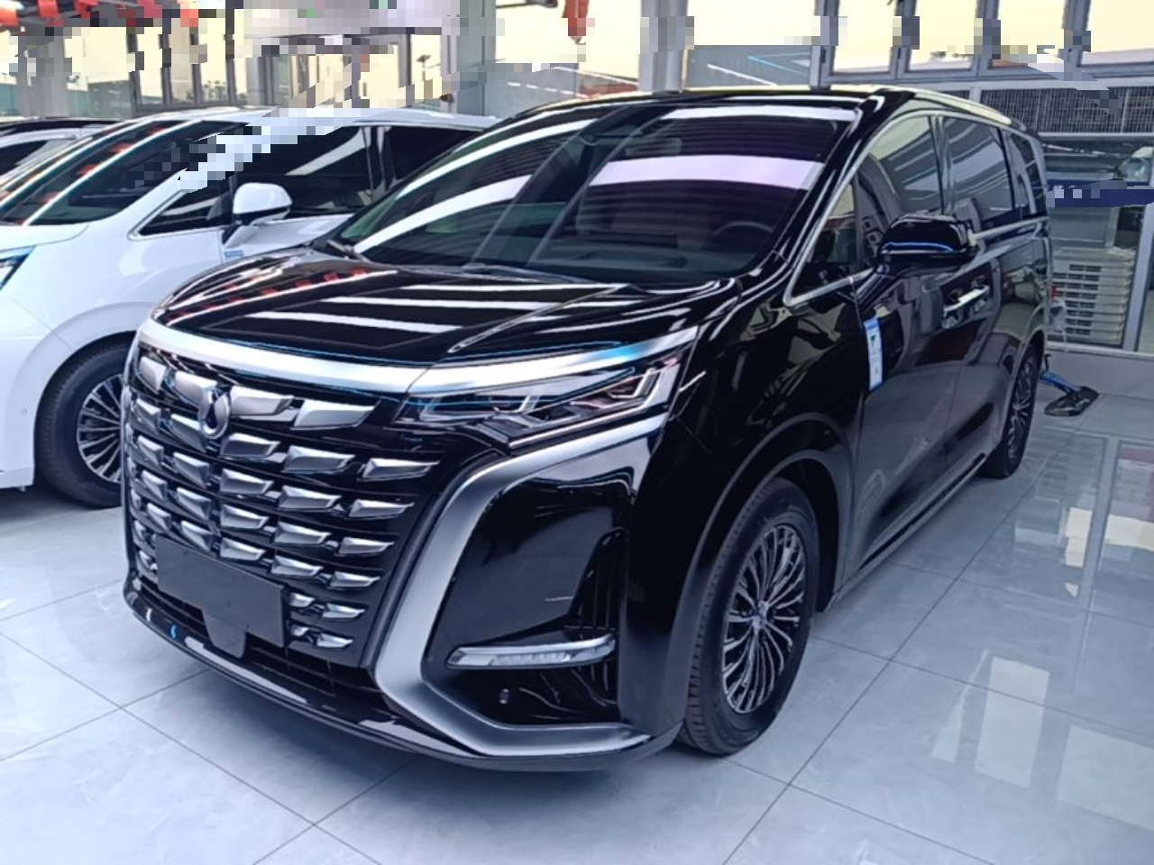 D9 2024 DM-i 980 AWD Noble