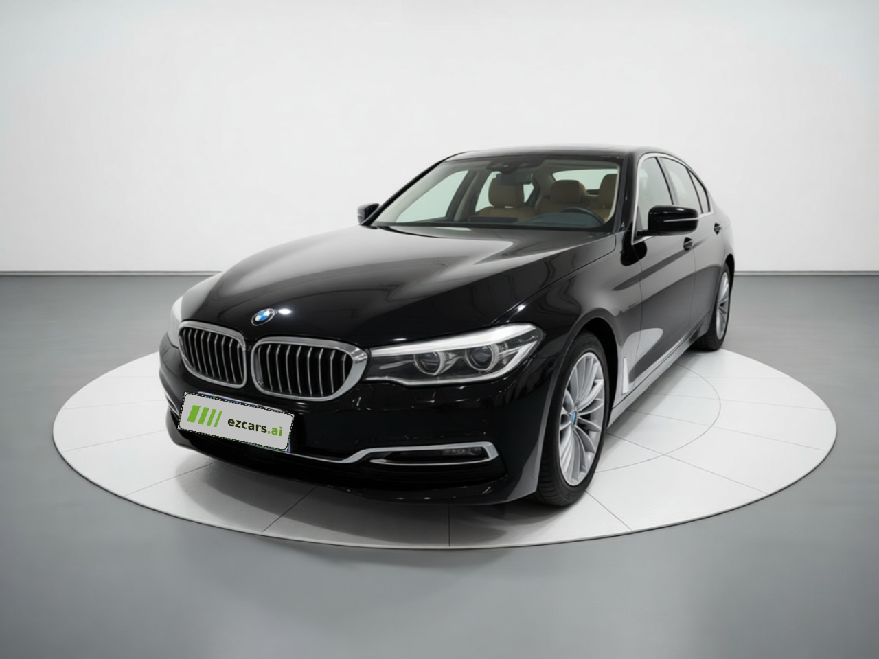 5 Series 2018 530Li Leading Luxury