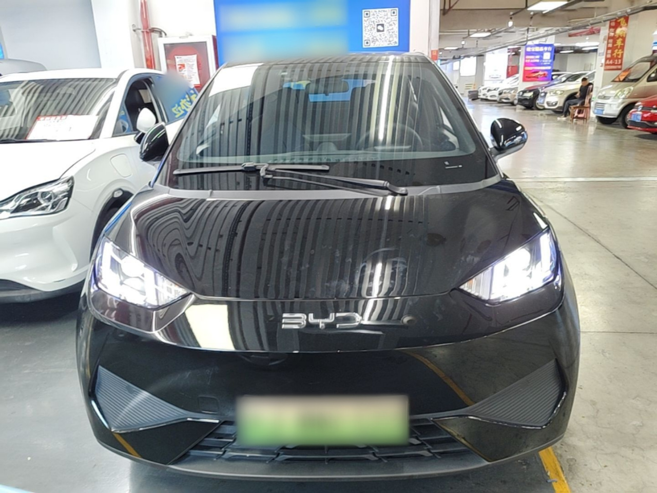 Seagull 2025 ADAS 305km photo 2