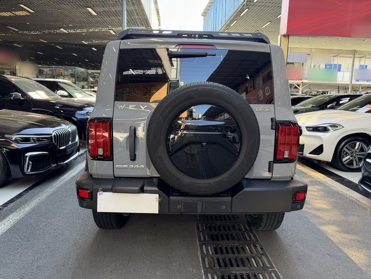 300 2021 Off-road 2.0T photo 4
