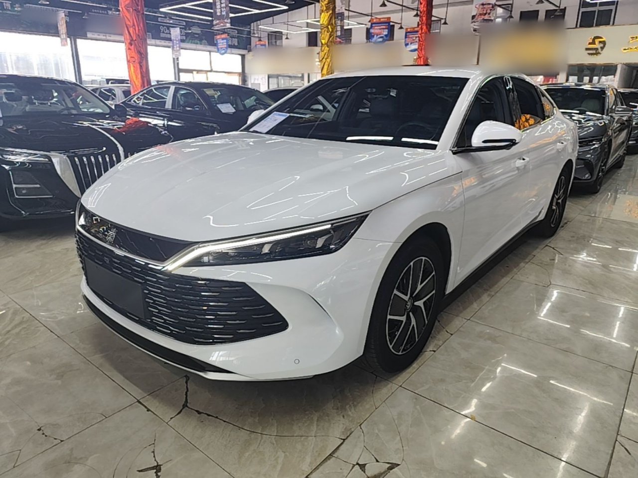 Qin L 2024 DM-i 120KM Leading