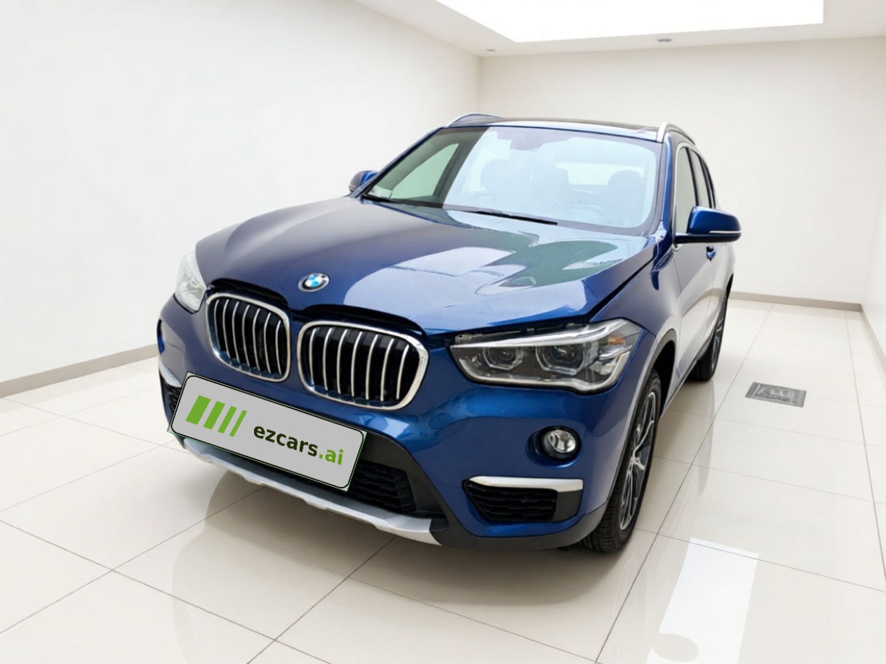 X1 2019 xDrive20Li Exclusive