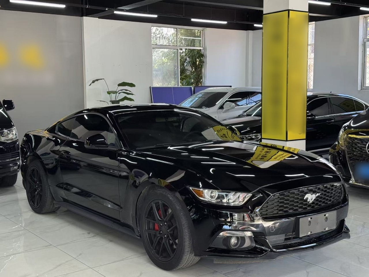 Mustang 2017 2.3T Performance photo 2