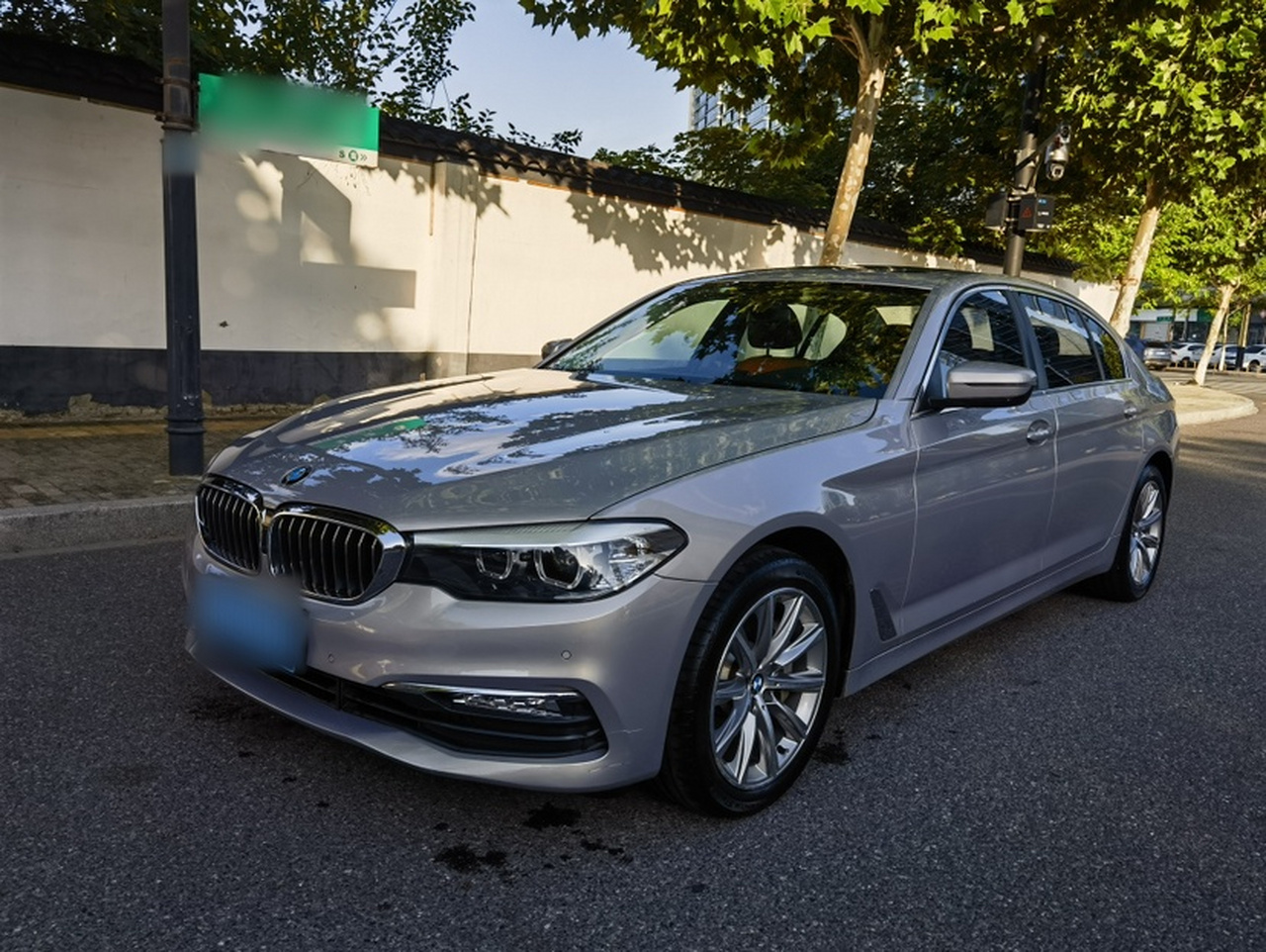 5 Series 2018 528Li Special