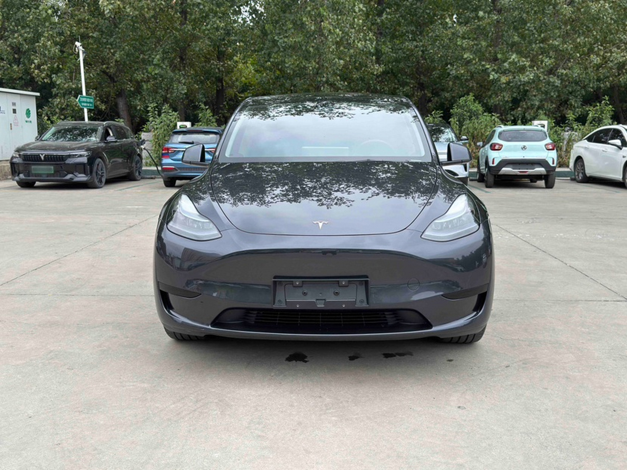 Model Y 2024 RWD photo 3