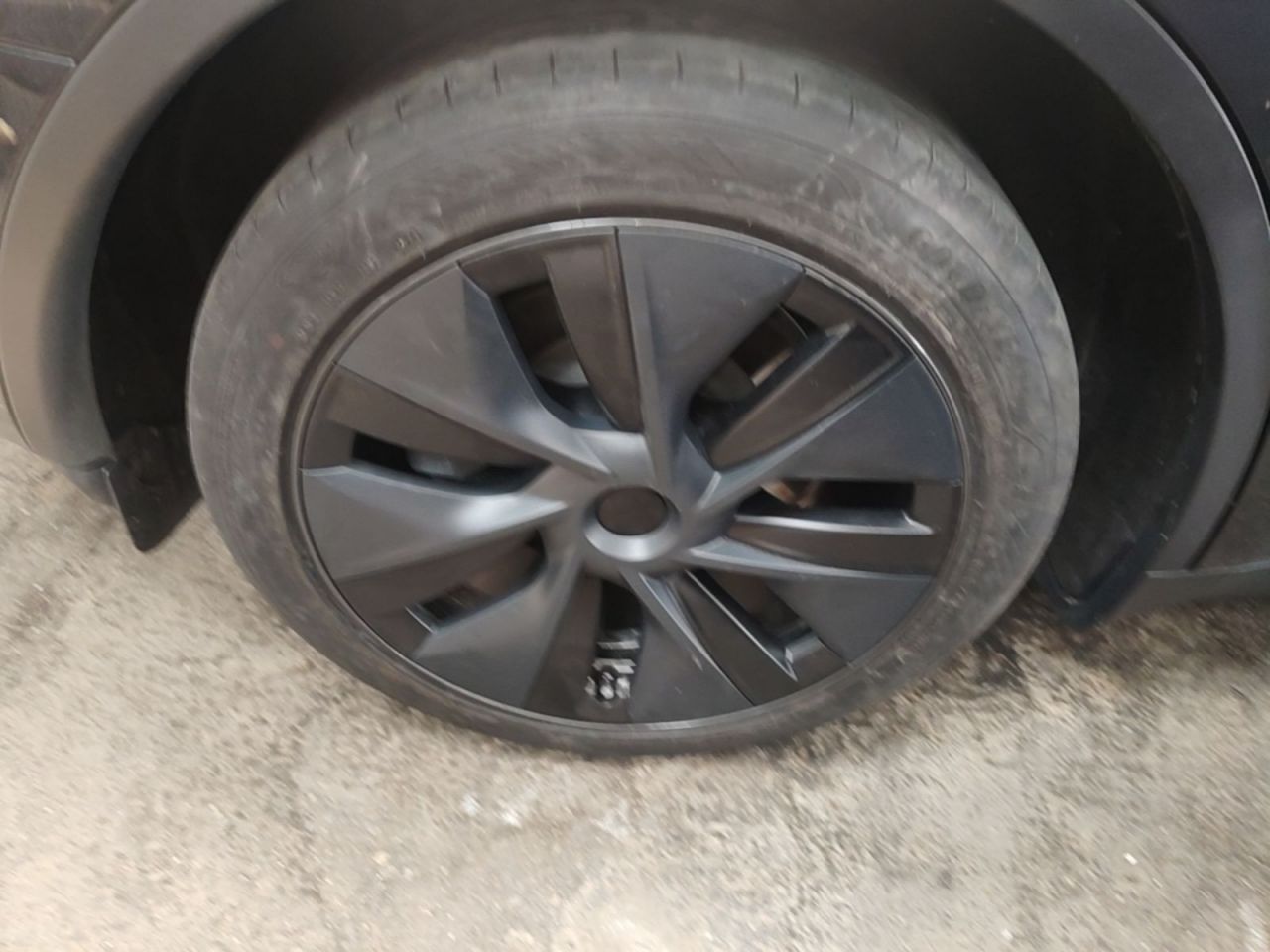 Model Y 2024 RWD photo 4