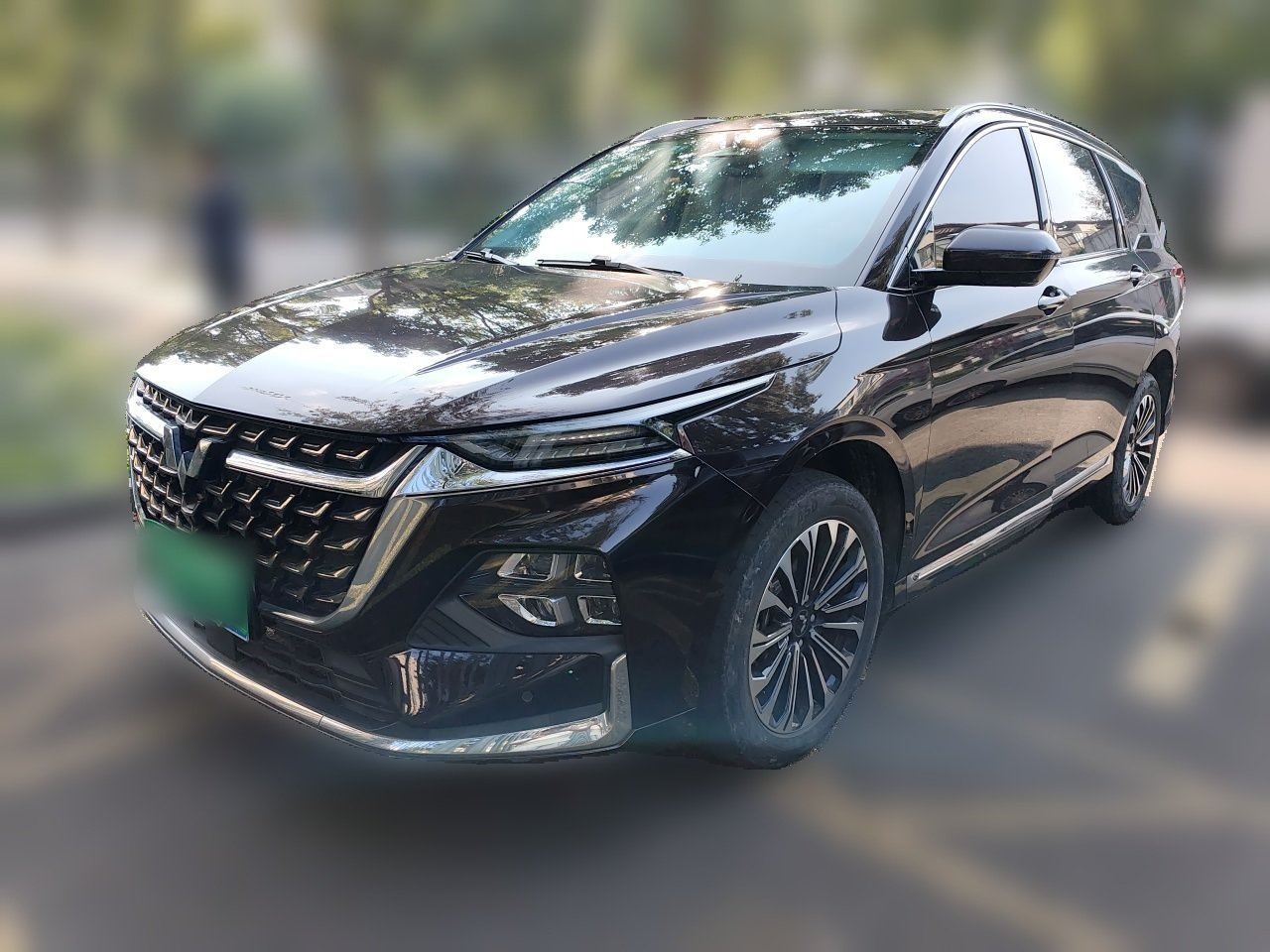 Wuling 2023 2.0L DHT