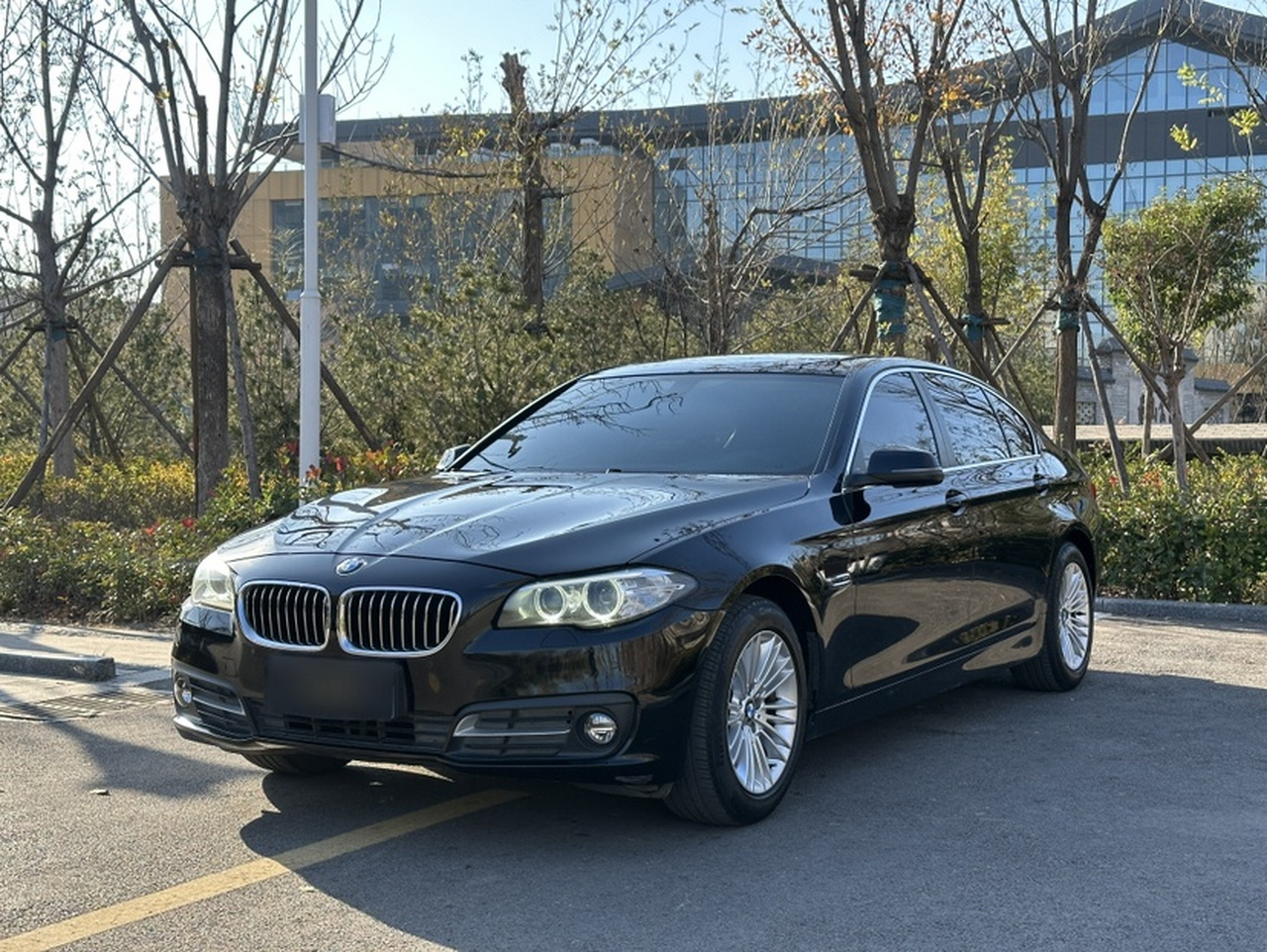 5 Series 2014 525Li Leading
