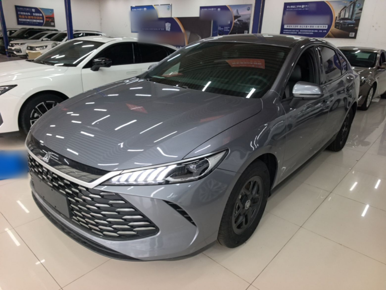 Qin PLUS 2025 DM-i ADAS 55KM Leading
