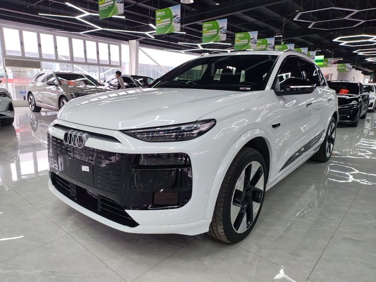 Q6L e-tron 2026 Pilot