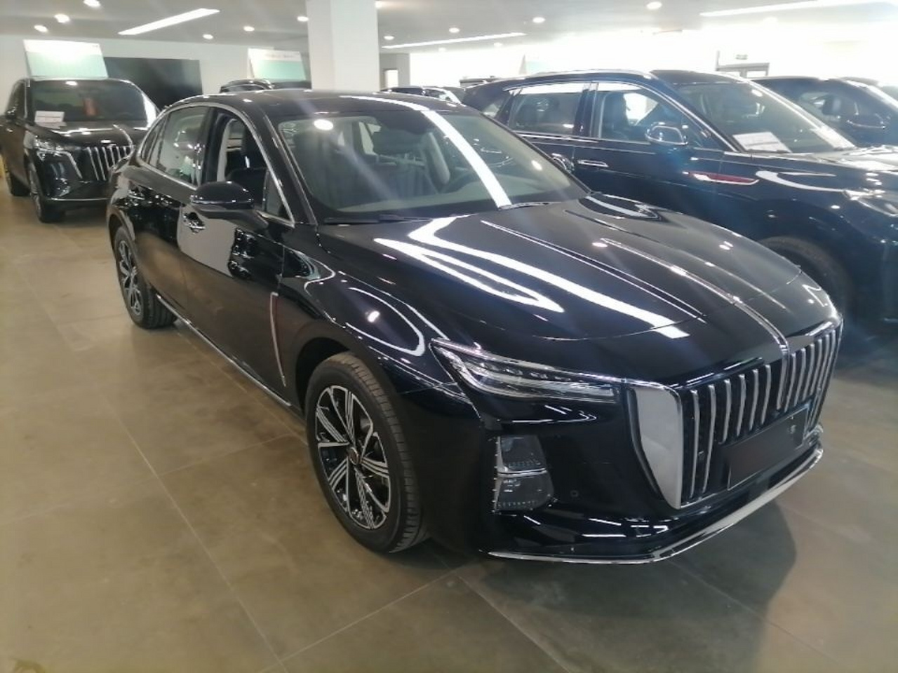 H5 PHEV 2025 130 photo 3
