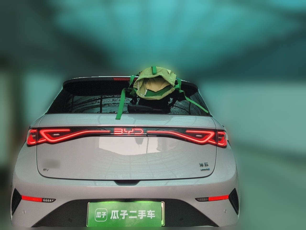 Dolphin 2025 ADAS 410km Fashion photo 5
