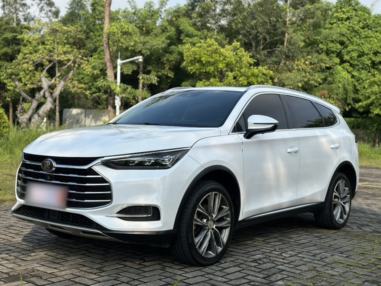 Tang 2019 2.0T AT Connected Noble 7-Seater China VI