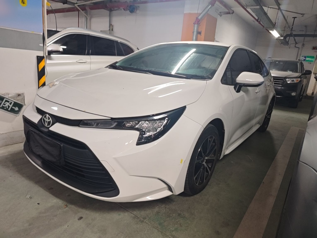 Levin 2023 TNGA 1.5L CVT Progressive