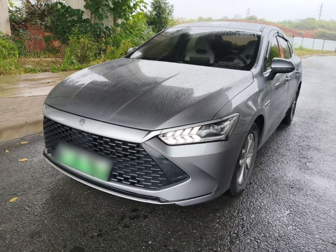 Qin PLUS 2024 Honor DM-i 55KM