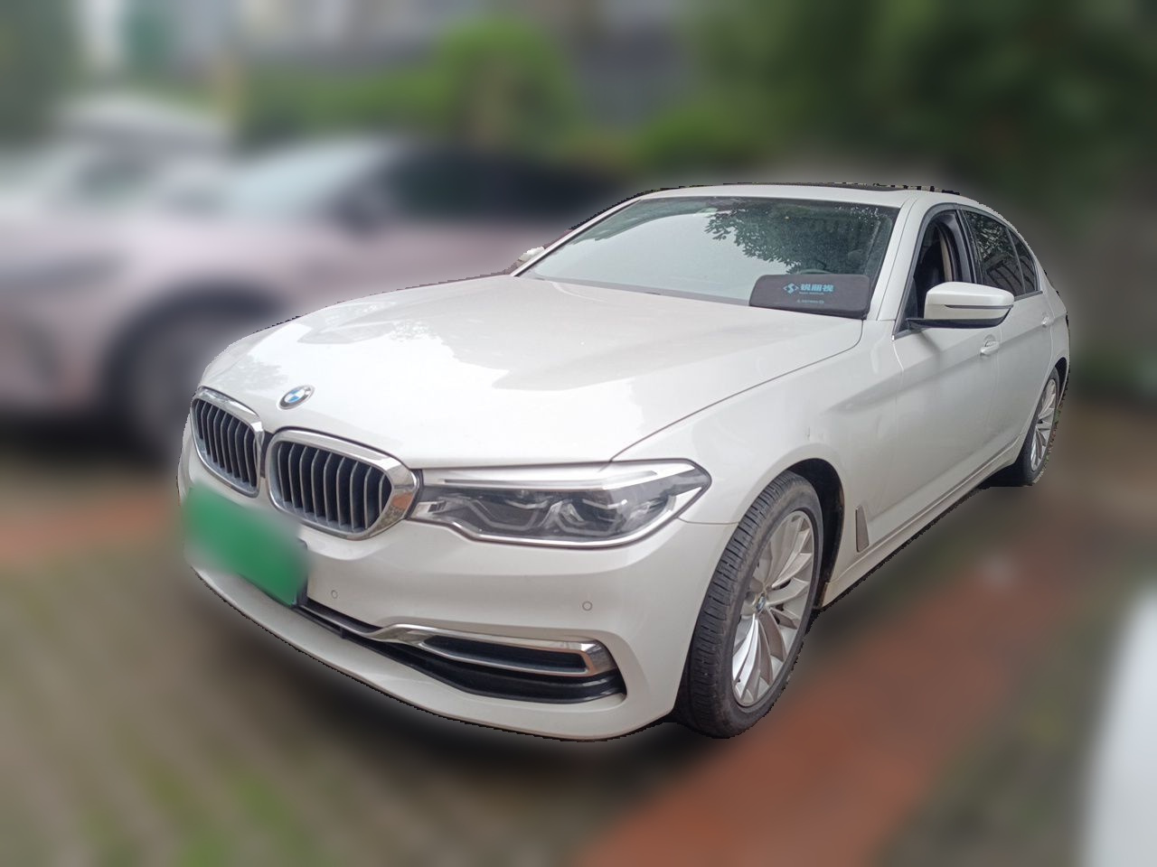 5 Series 2020 530Li Leading Luxury