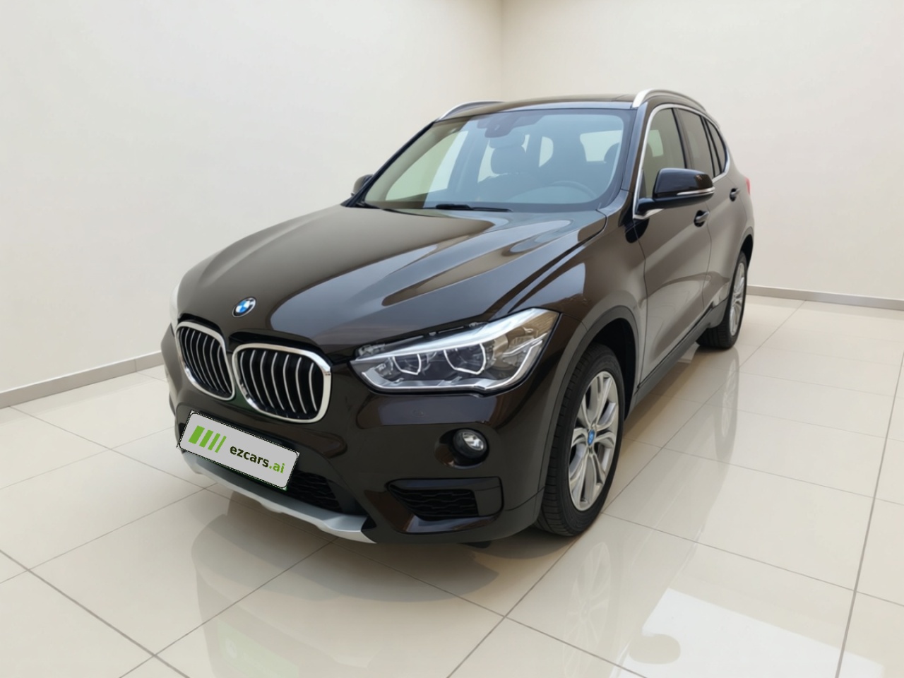 X1 2018 sDrive20Li Leading