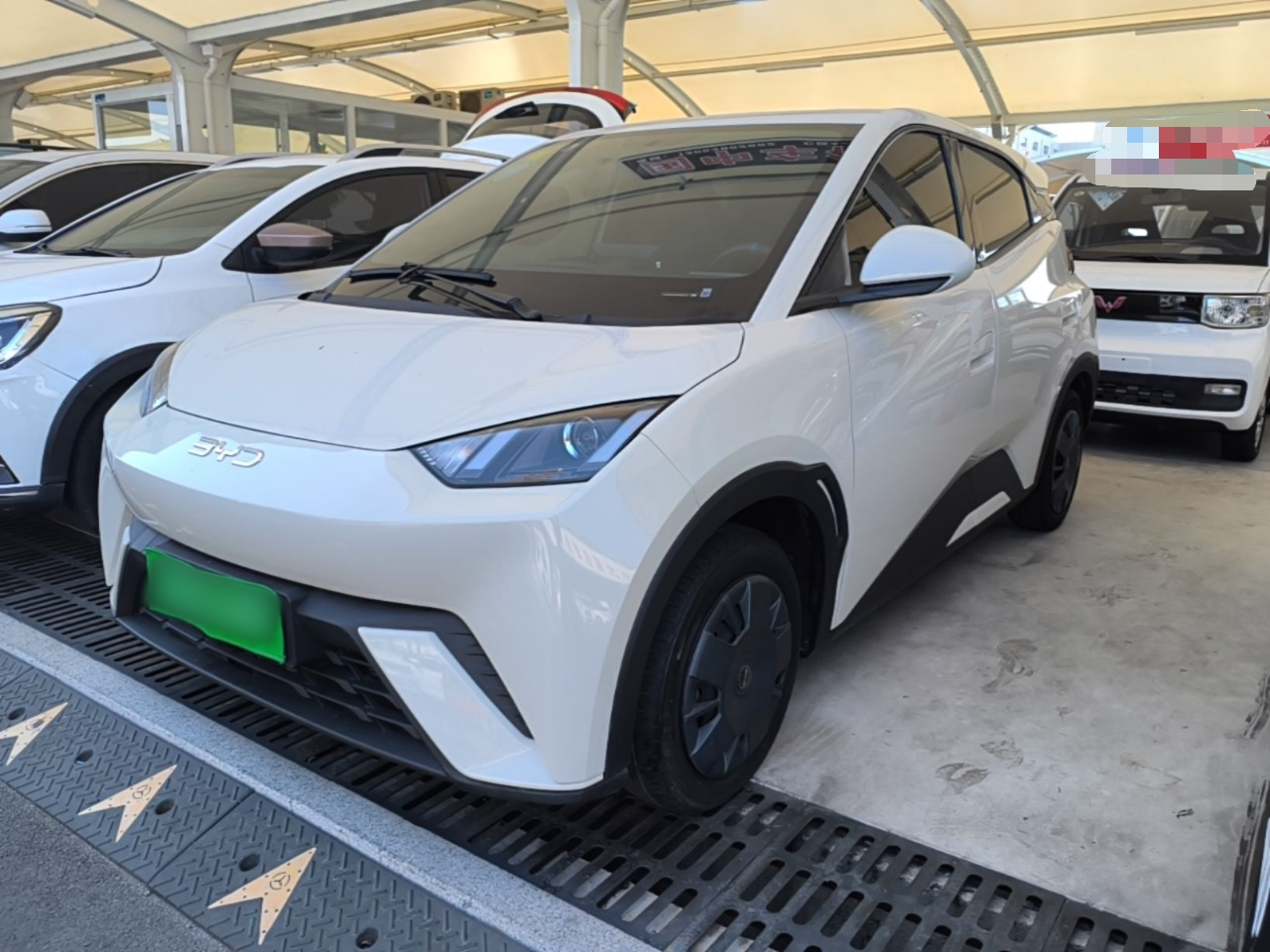 Seagull 2025 305km