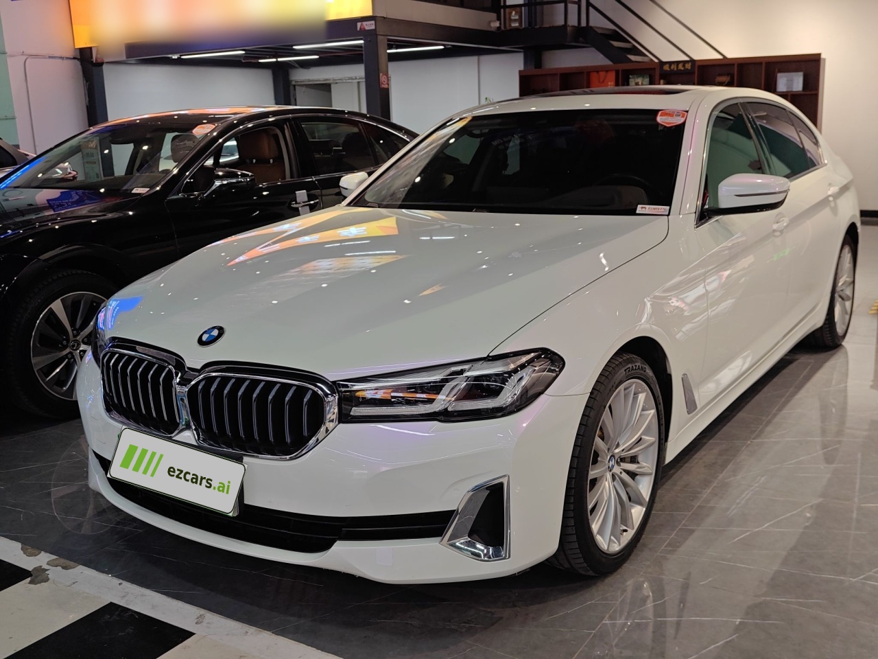5 Series 2021 530Li Exclusive Luxury