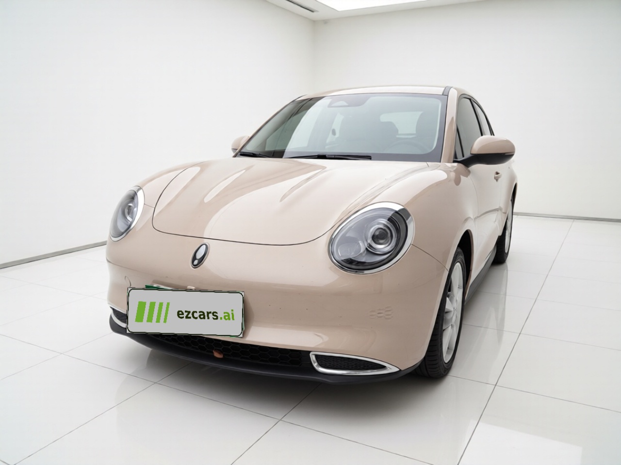 Good Cat 2023 401km Standard Range Luxury LFP