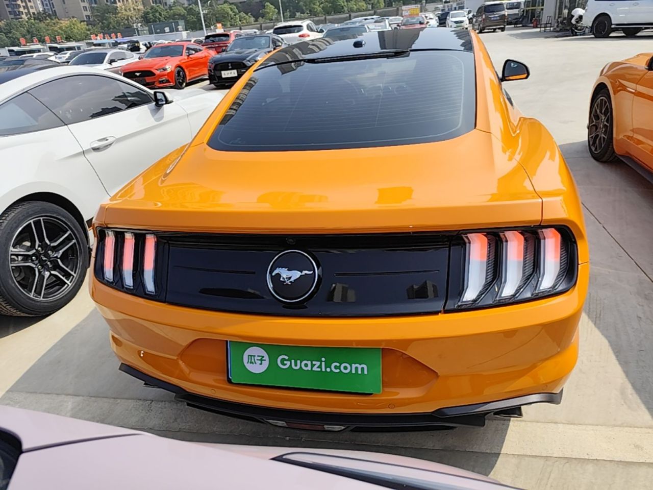 Mustang 2020 2.3L EcoBoost photo 5