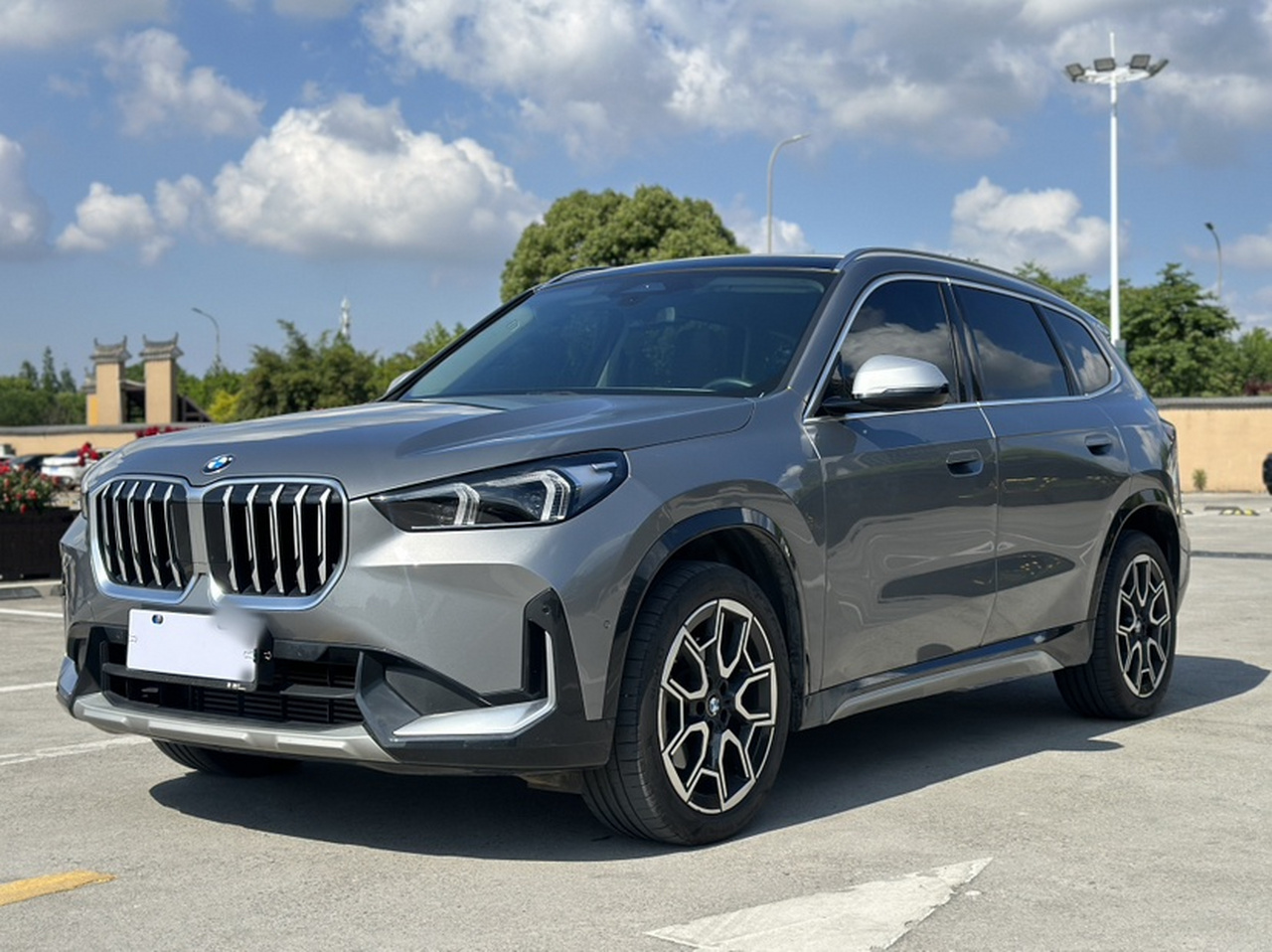 X1 2023 sDrive25Li X Design Package