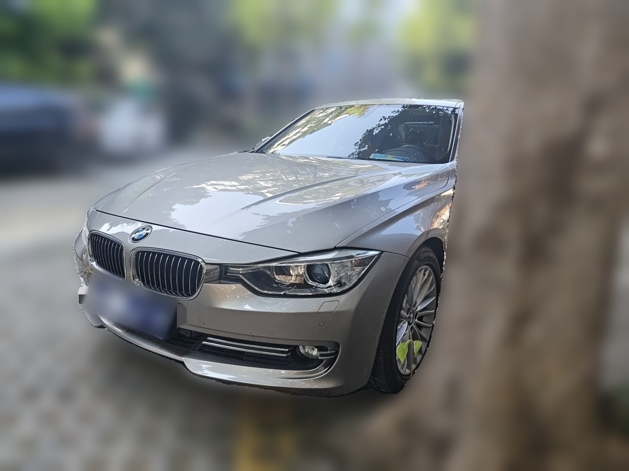 3 Series 2015 320Li Luxury Design Package