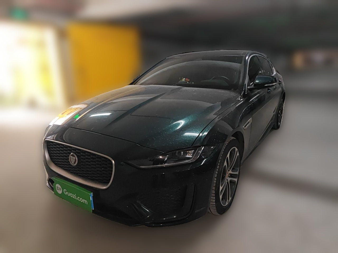 XEL 2024 2.0T 250PS R-DYNAMIC S Progressive Sport
