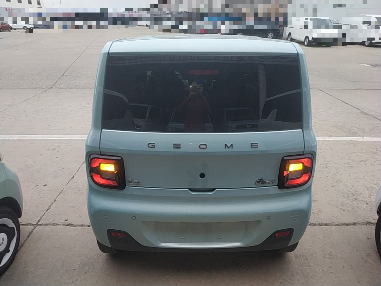 2024 Panda mini 200km Endurance Bear photo 5