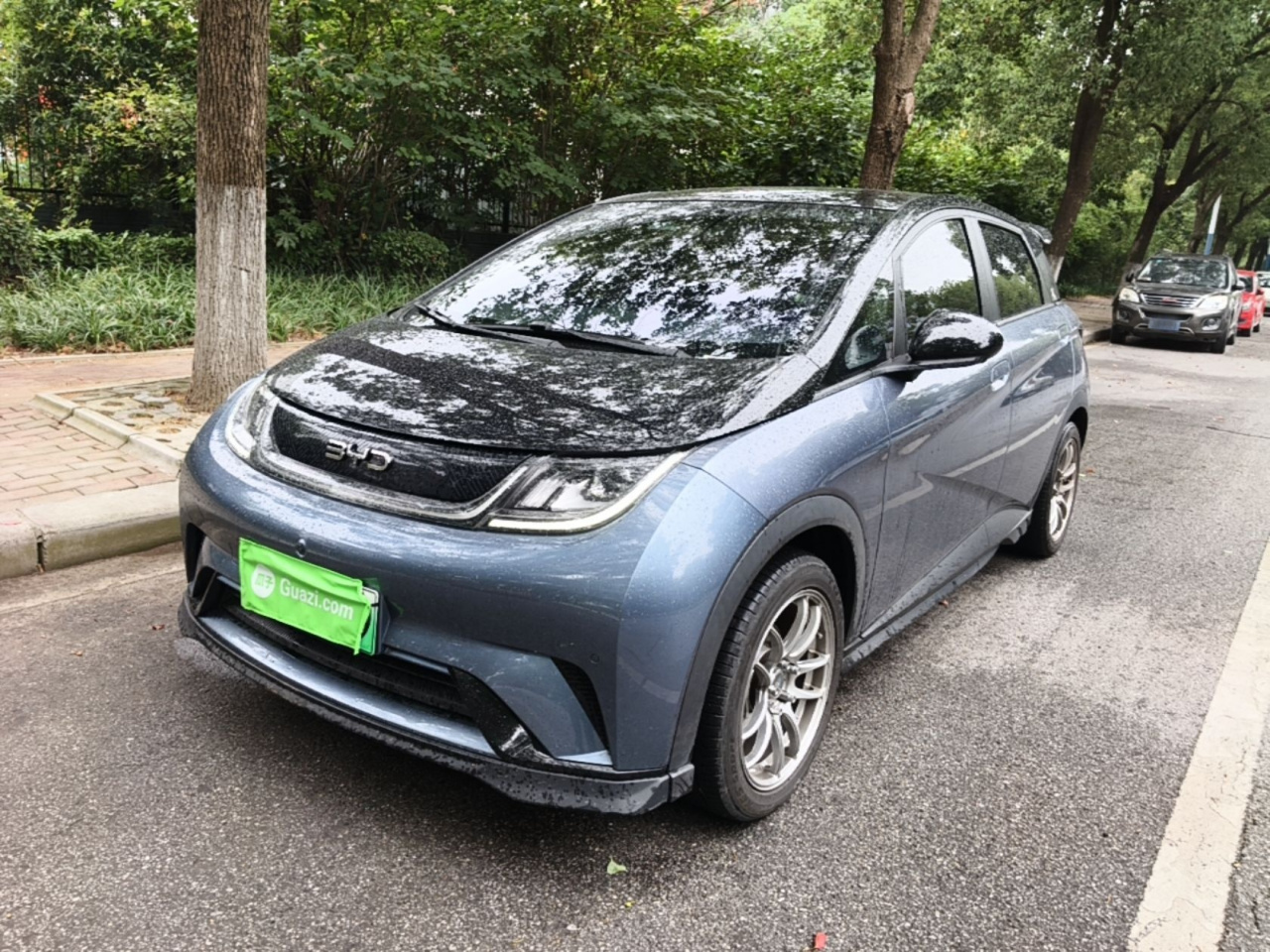 Dolphin 2024 Honor 401km