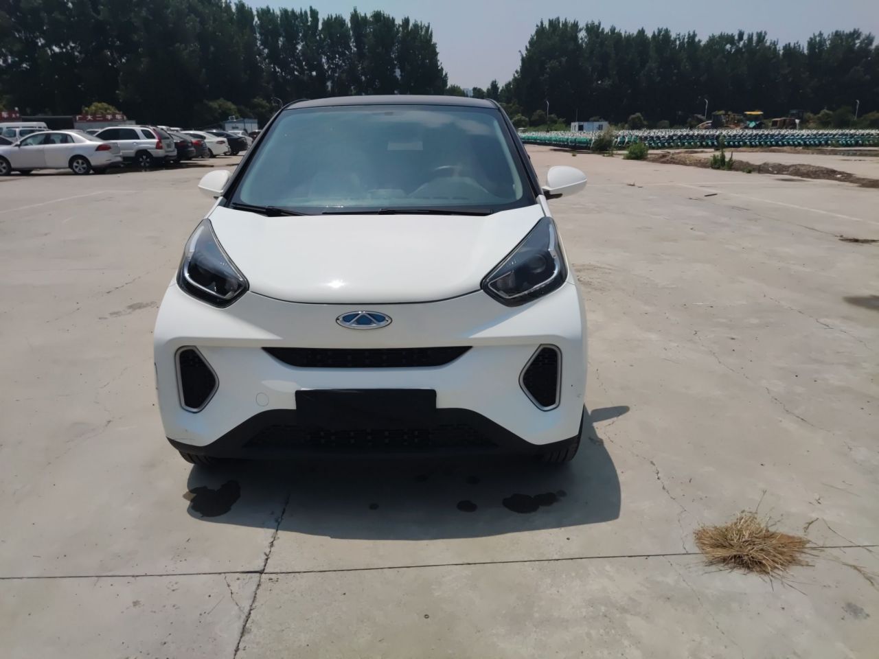 QQ Little Ant 2021 15 NCM photo 2