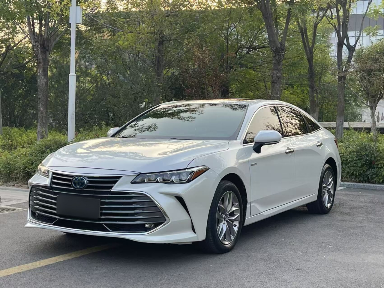 Avalon 2019 Hybrid 2.5L Luxury China VI