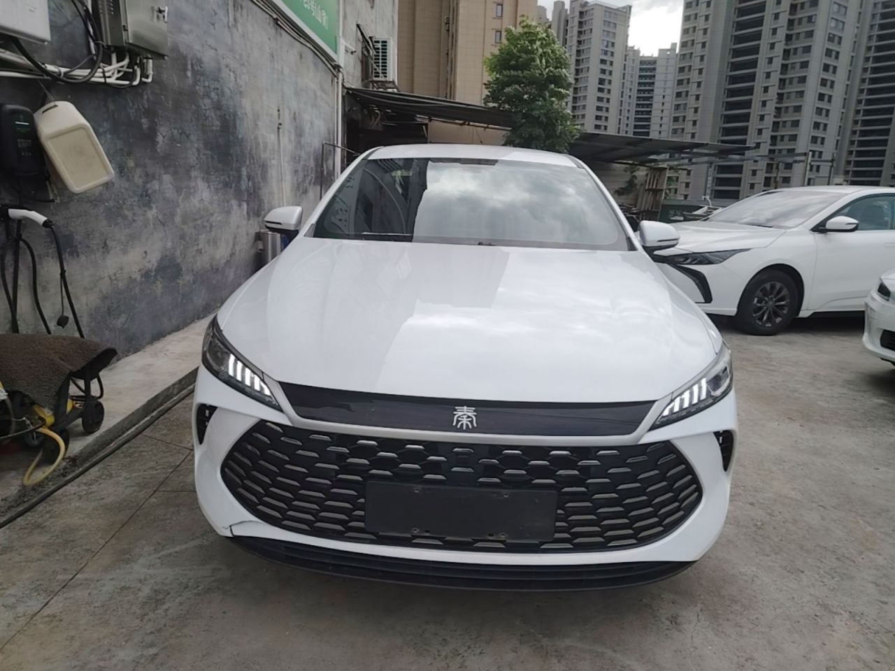 Qin PLUS 2025 DM-i ADAS 55KM Leading photo 2