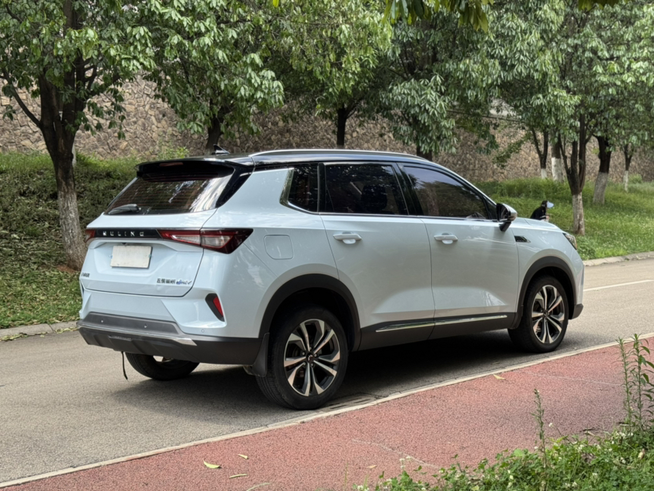 Wuling 2022 2.0L DHT photo 4