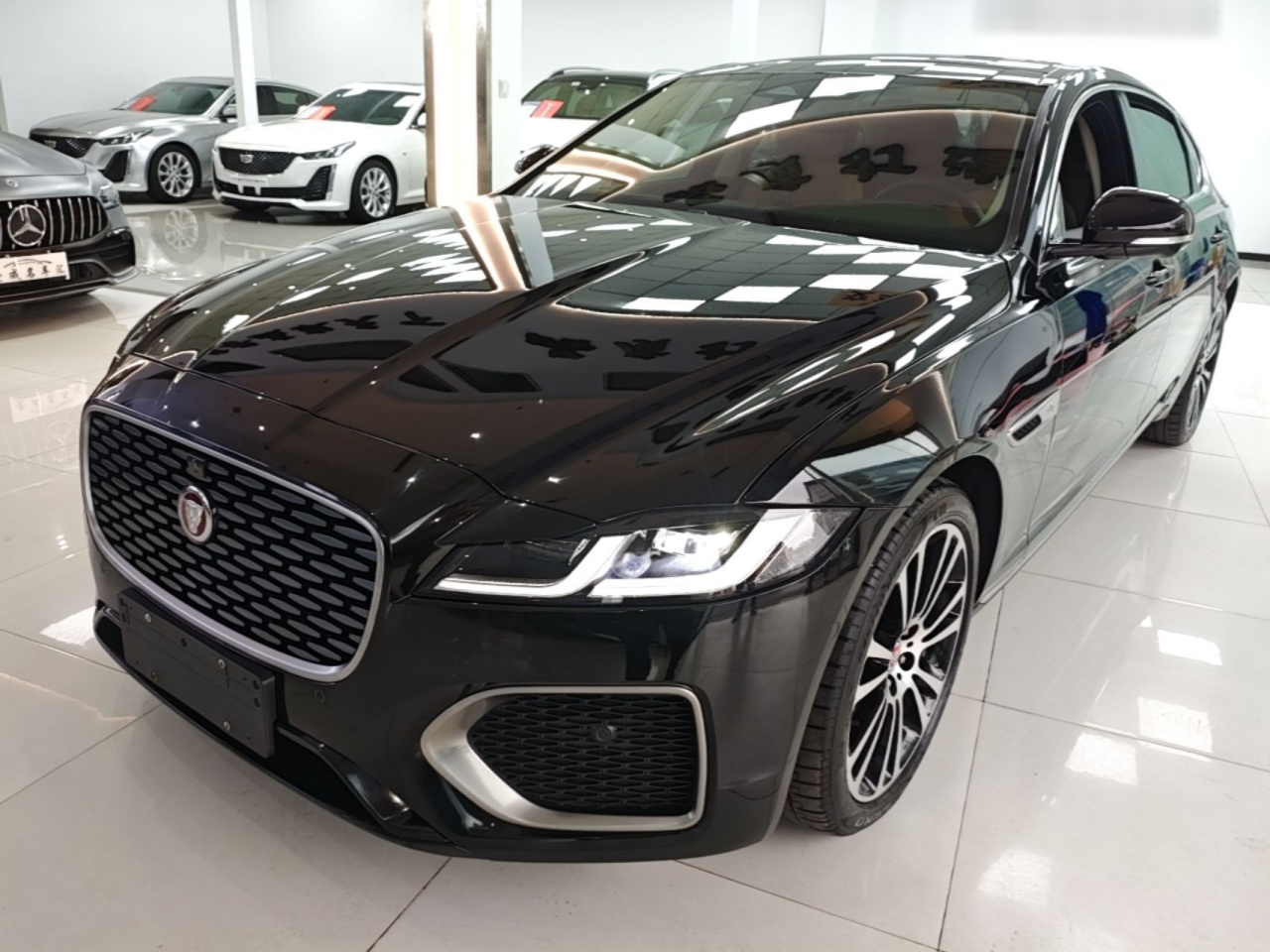 XFL 2024 2.0T P250 RWD Exclusive Luxury