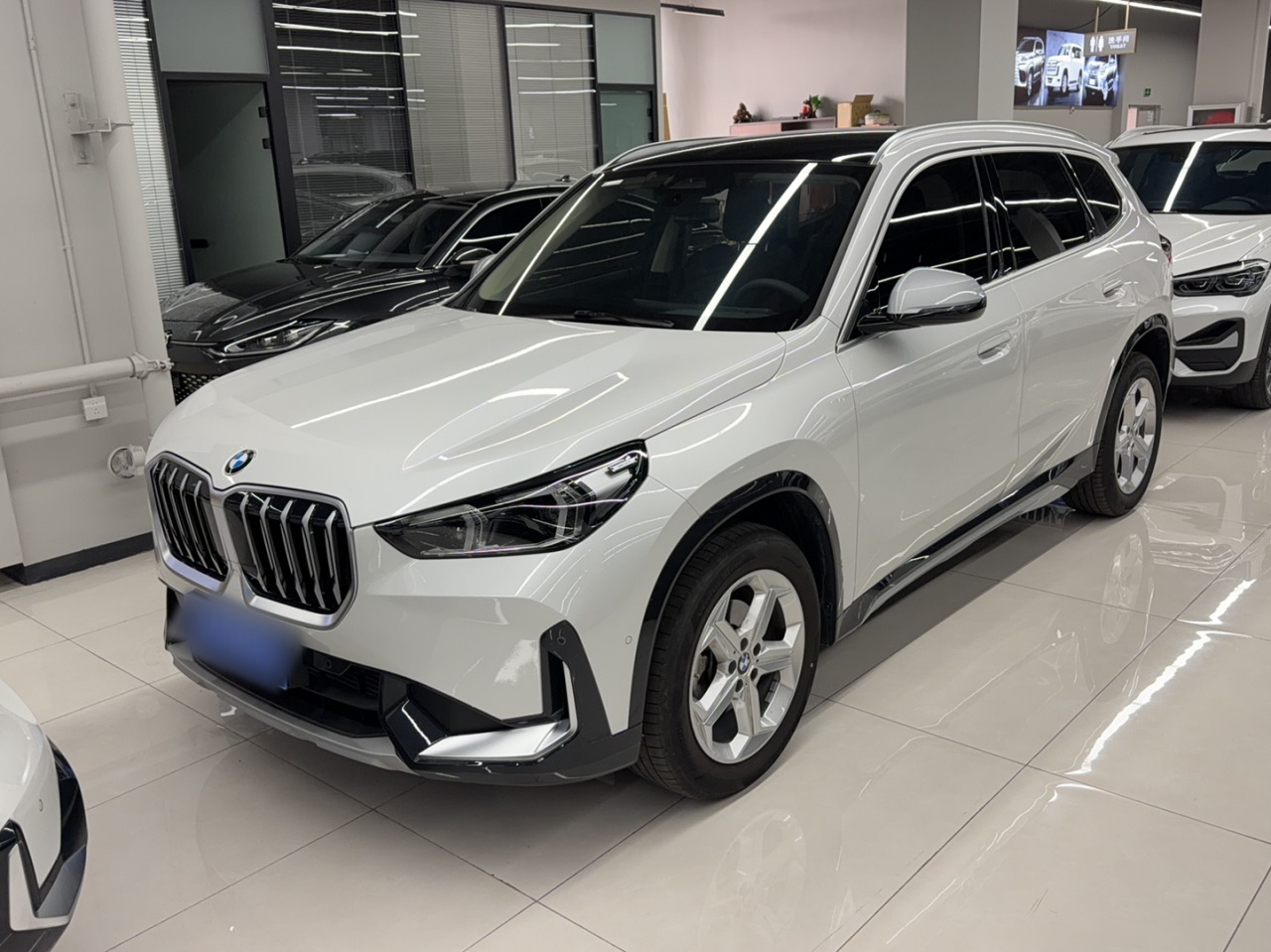 X1 2023 sDrive20Li X Design Package