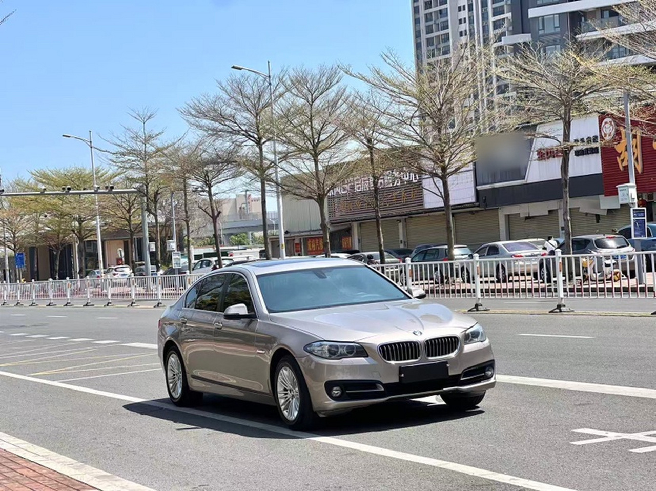 5 Series 2014 525Li Leading photo 2
