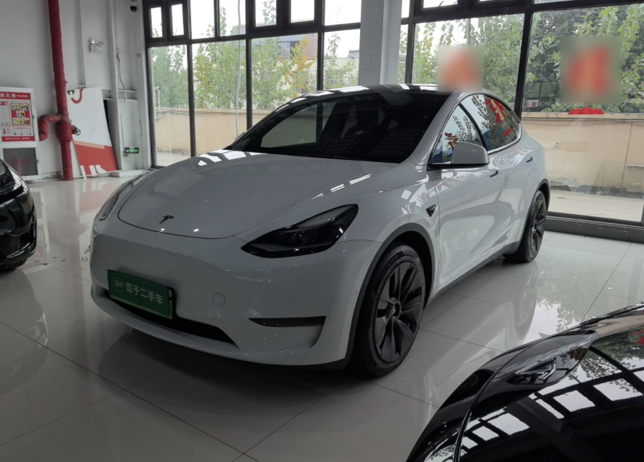 Model Y 2021 Standard Range RWD