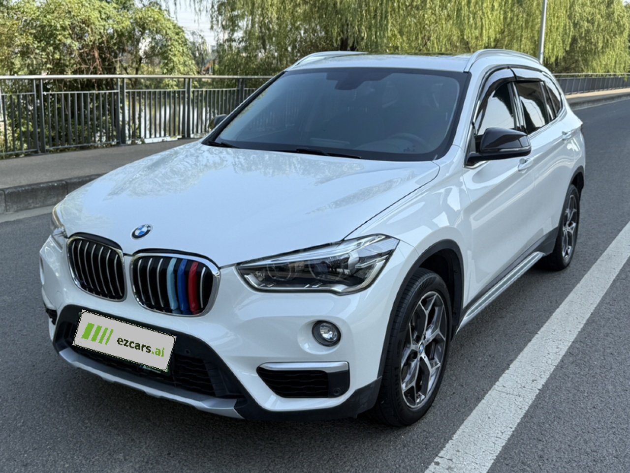X1 2018 sDrive18Li Exclusive