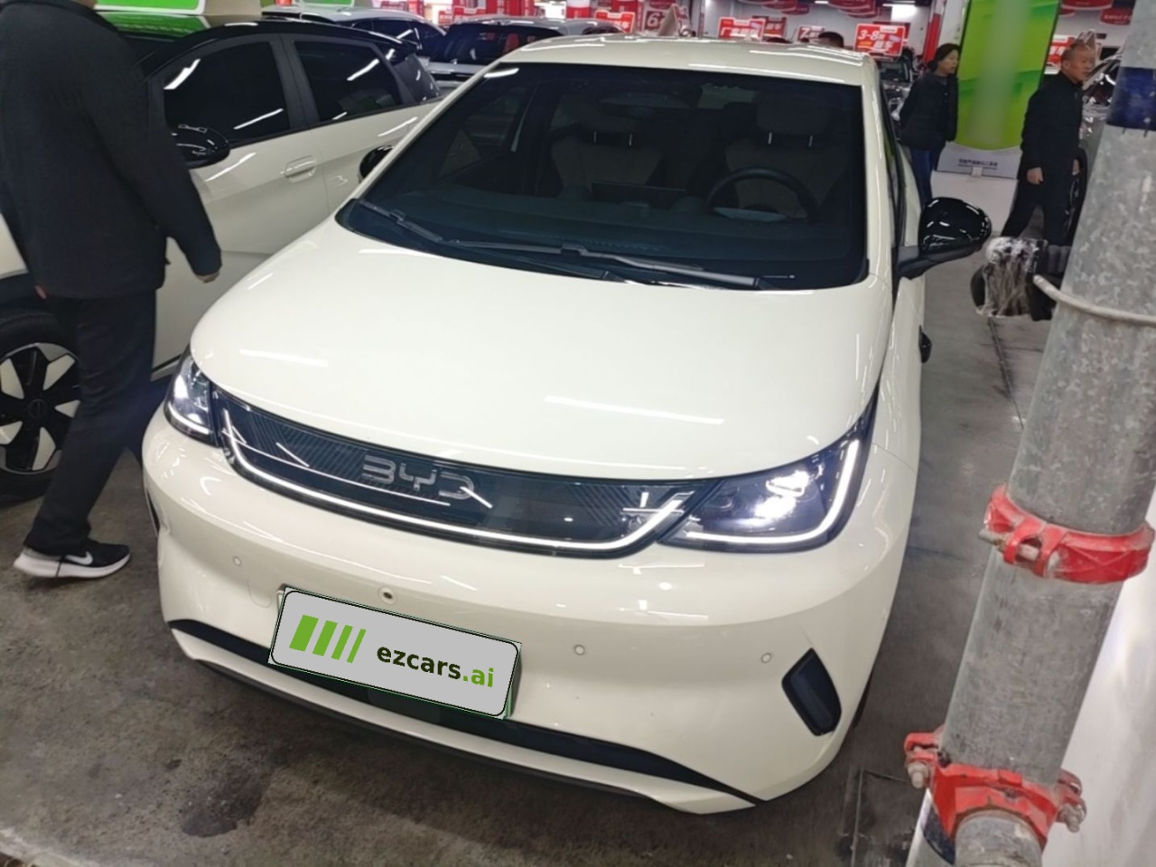 Dolphin 2025 ADAS 420km